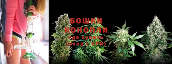 ГАЛЛЮЦИНОГЕННЫЕ ГРИБЫ Волоколамск