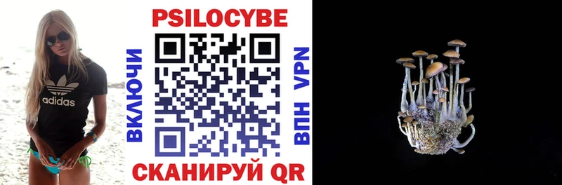 блэк спрут ONION  Шагонар  Псилоцибиновые грибы Psilocybine cubensis 